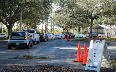 Do I Need a Permit for a Septic System in Florida?